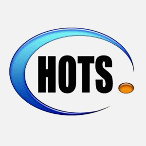 HOTS Business Game